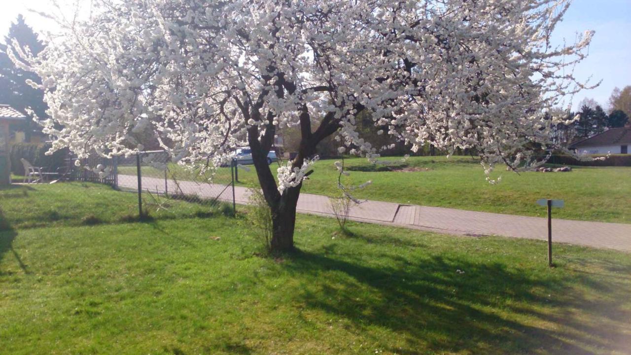 Apartment In Sehlen/Insel Ruegen 3067 Екстериор снимка